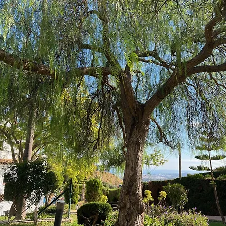 San Antonio Two Bedroom With Swimming Pool